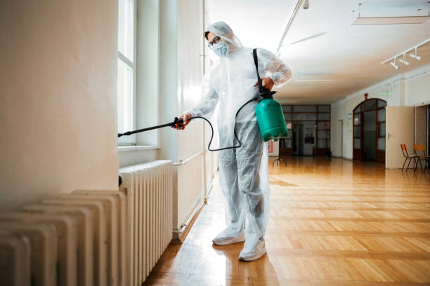 Real Estate Pest Inspections in Maple Valley, WA